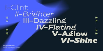 Polyguard Font Poster 11