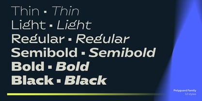 Polyguard Font Poster 5
