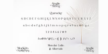 Angle Things Font Poster 8