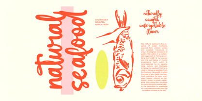 Chiler Spark Font Poster 13