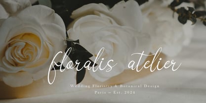 Sonyalea Font Poster 2