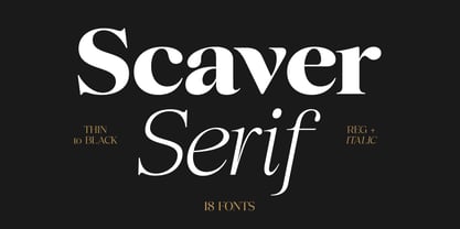 Scaver Font Poster 1