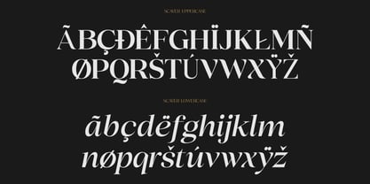 Scaver Font Poster 10