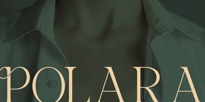 Salmine Font Poster 3