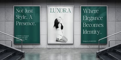 Salmine Font Poster 8