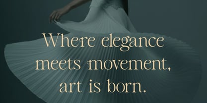 Salmine Font Poster 4