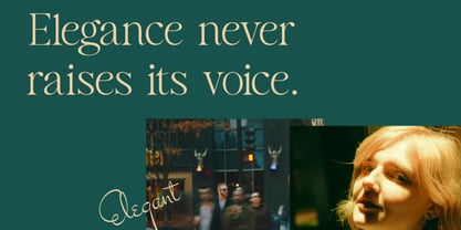 Salmine Font Poster 6