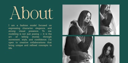 Salmine Font Poster 5
