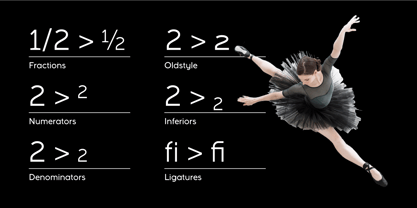 Full Sans Font Poster 6