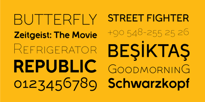 Full Sans Font Poster 7