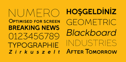 Full Sans Font Poster 5