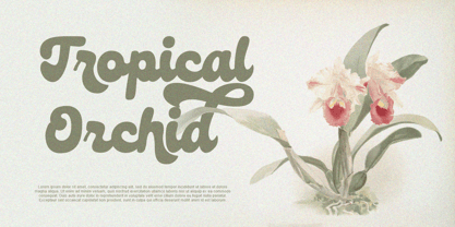 Molugle Font Poster 4