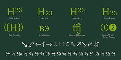 Ancestri Font Poster 7