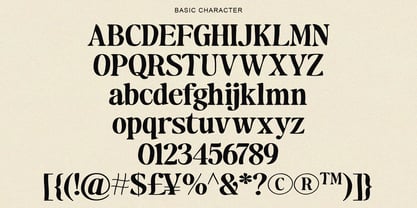 Makers Serif Font Poster 13