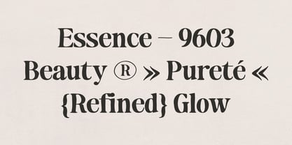 Makers Serif Font Poster 10