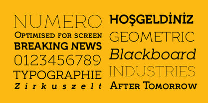 Full Slab Font Poster 5