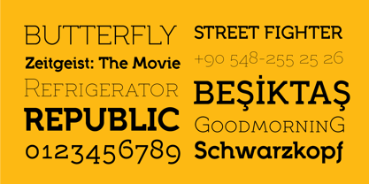 Full Slab Font Poster 7