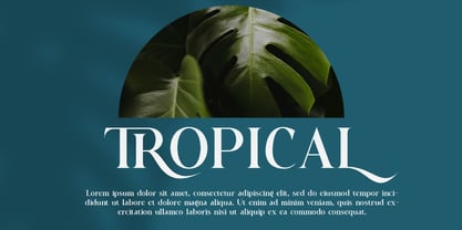 Bezoria Font Poster 4
