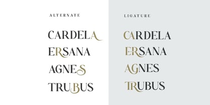 Bezoria Font Poster 2