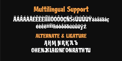 Funky Dough Font Poster 5