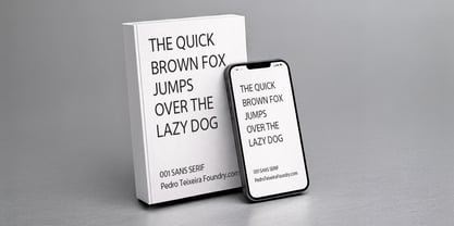 001 Sans Serif Family Font Poster 5