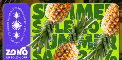 Holiday Sunshine Font Poster 6