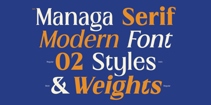 MN Managa Serif Font Poster 2