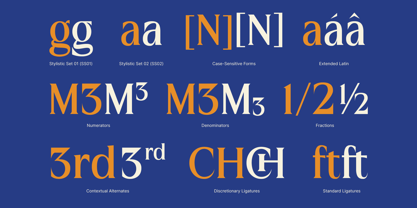MN Managa Serif Font Poster 11