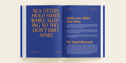 MN Managa Serif Font Poster 3