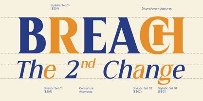 MN Managa Serif Font Poster 13