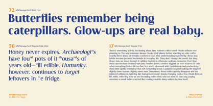 MN Managa Serif Font Poster 6