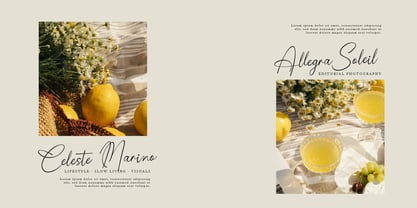 Pensthary Font Poster 6