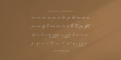Pensthary Font Poster 12