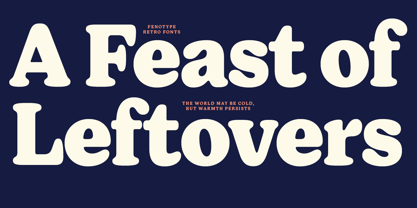 Giorgia Font Poster 10
