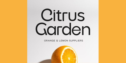Grityle Font Poster 6