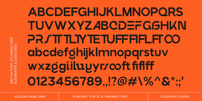 Grityle Font Poster 14