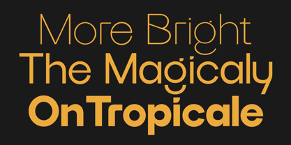 Grityle Font Poster 5