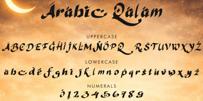 Arabic Qalam Font Poster 4