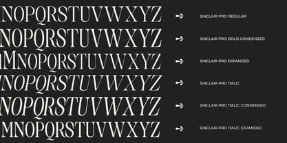 Sinclair Pro Obsession Font Poster 11