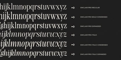 Sinclair Pro Obsession Font Poster 12
