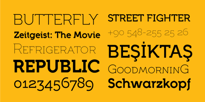 Full Neue Font Poster 7