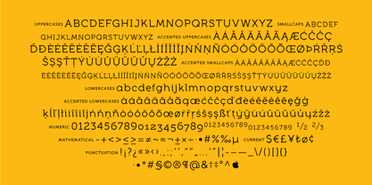 Full Neue Font Poster 9