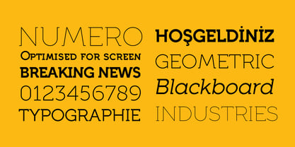 Full Neue Font Poster 5