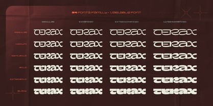 Terax Dimention Font Poster 7