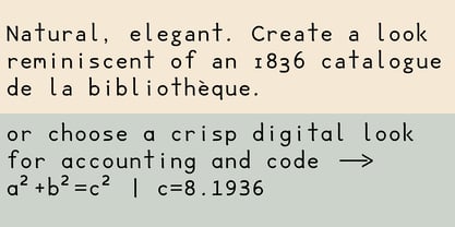 Datavibing Console Font Poster 7
