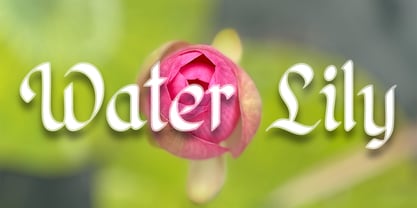 Poster Flourish Font Poster 6