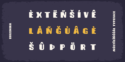 Brusnika Font Poster 2