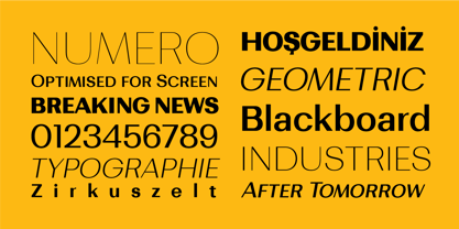 Bodrum Sans Font Poster 7