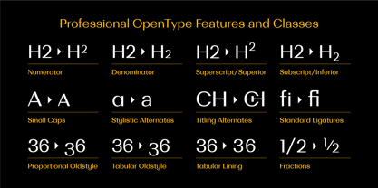 Bodrum Sans Font Poster 6