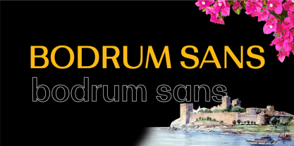 Bodrum Sans Font Poster 2